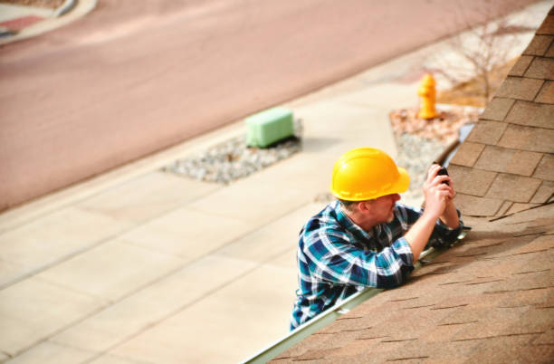 Best Roof Moss and Algae Removal  in Fort Belknap Agency, MT