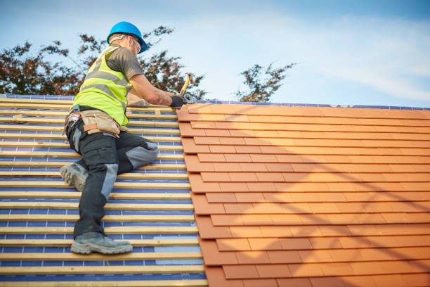 Best Solar Panel Roofing Installation  in Fort Belknap Agency, MT